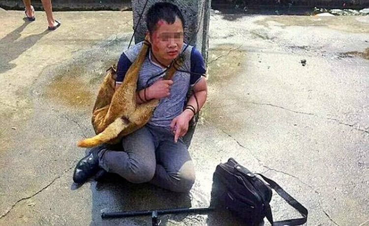 hombre chino paliza pueblo por robar perros