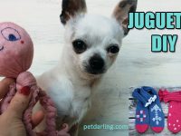 como hacer juguetes para perros caseros