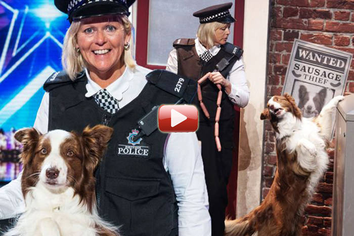 perro matisse final talent show britanico