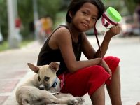video niño mendigo amigo perro rommel badgi