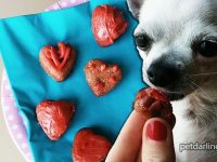 como hacer golosinas caseras perros
