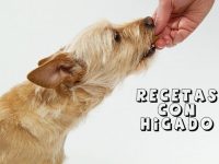 hacer comida perros con higado