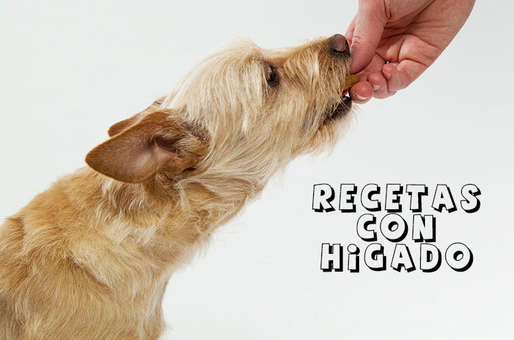Recetas para perros con higado