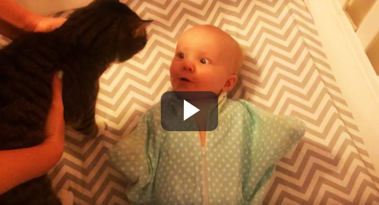 Bebé adora a su gatito