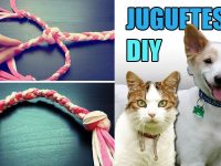 juguetes para cachorros
