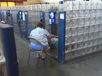 mujer lee libros a perros abandonados