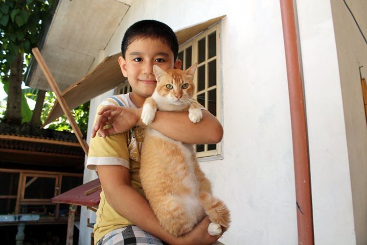 niño salva perros abandonados