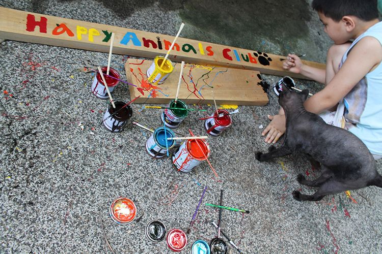 niño 10 años crea refugio perros abandonados