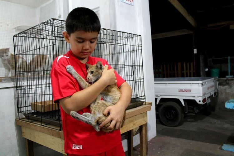niño salva perros callejeros abandonados