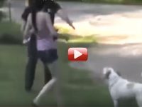 video policia dispara perro mujer arrestada