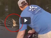 Dos gatitos son rescatados en un río