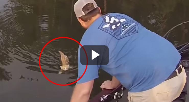 Dos gatitos son rescatados en un río