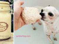 champu para perros