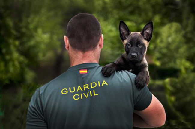 foto guardia civil concurso