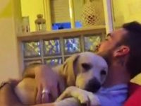 video perro pide perdon abrazo ettore