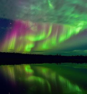 ballenas aurora boreal video