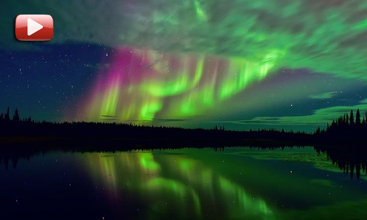 ballenas aurora boreal video