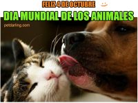 dia mundial de los animales 4 de octubre