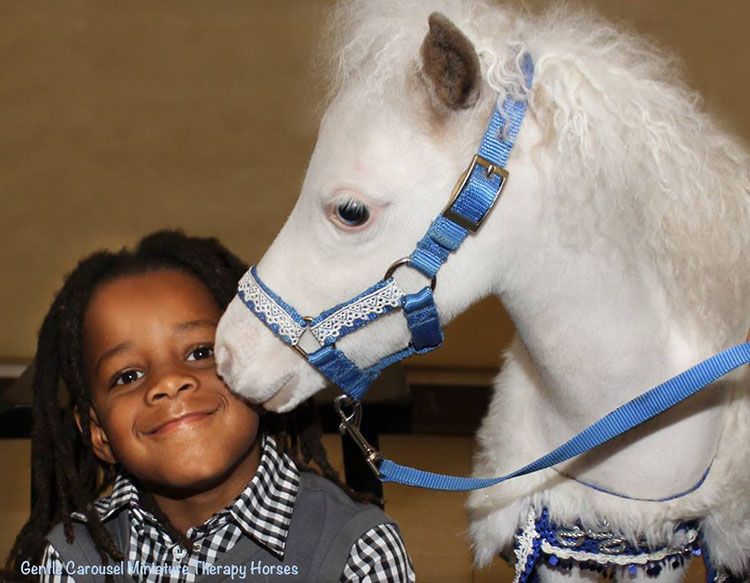 caballos terapia hospitales