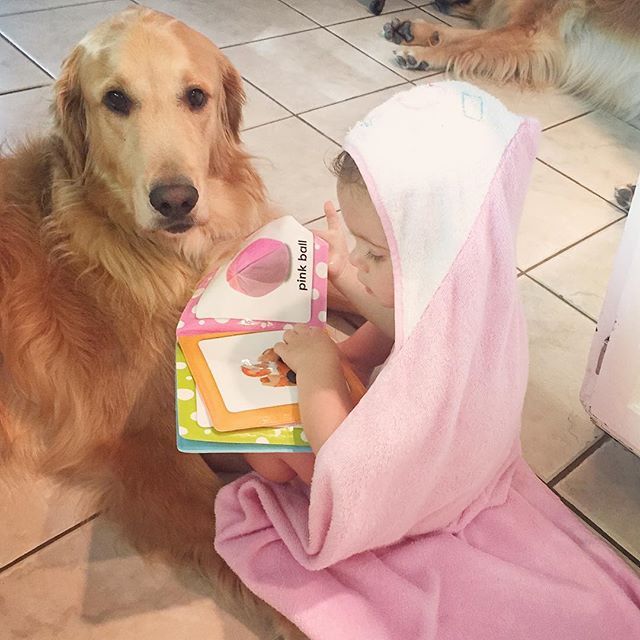 perros buenos para niños