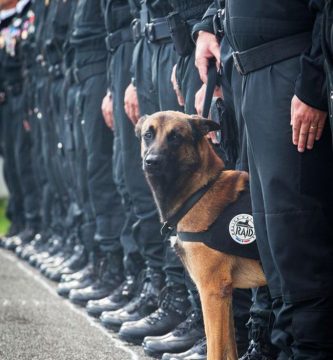perro policia muerto terroristas paris