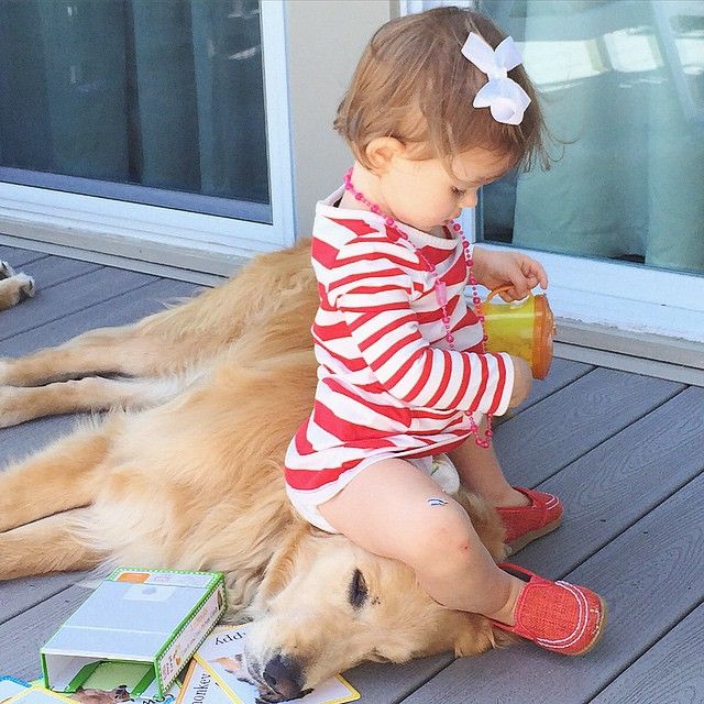 perros buenos para niños