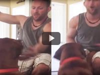 Intenta trolear a un perro