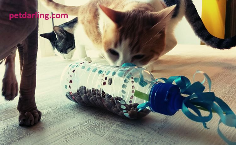 juguetes caseros para gatos