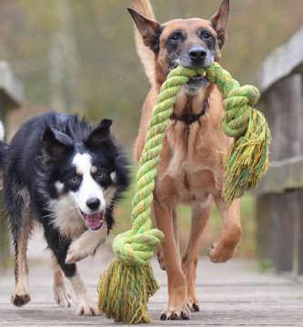 haz mordedores para perros