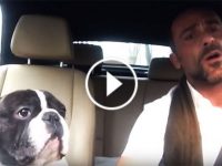 bulldog canta diamonds riana