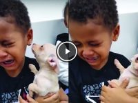 Niño se emociona al abrazar a su perro