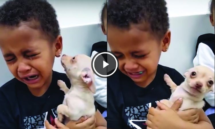 Niño se emociona al abrazar a su perro