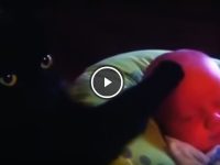 gato calma a un bebé