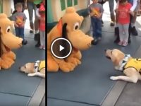 perro ve pluto disney y se emociona