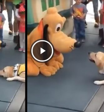 perro ve pluto disney y se emociona