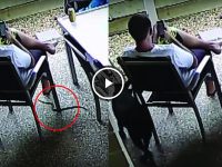 perro salva a su dueño