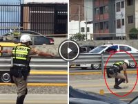 policia peruano detiene transito salvar gatito