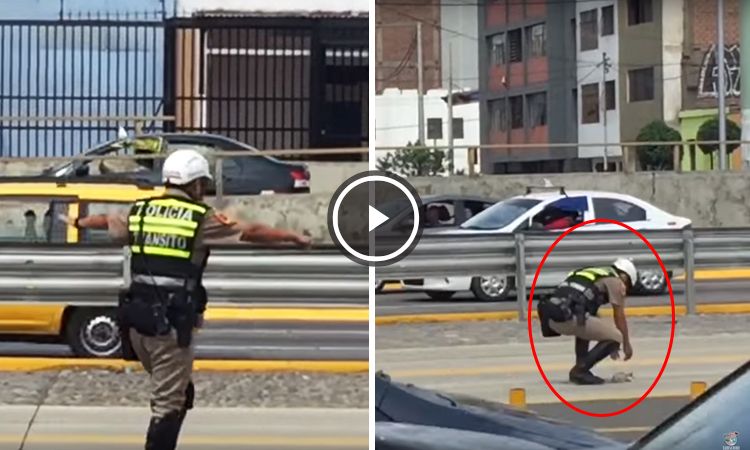 policia peruano detiene transito salvar gatito