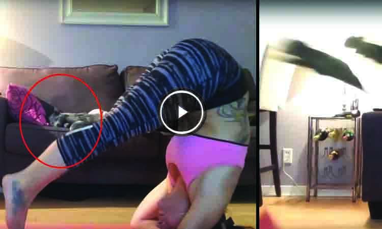 mujer se cae haciendo yoga gatos corren asustados