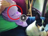 perrito se asusta del pedo de un bebé