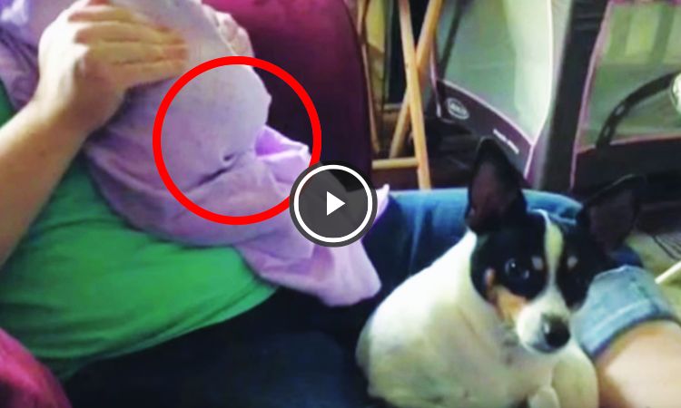 perrito se asusta del pedo de un bebé