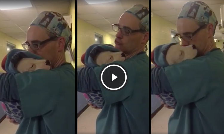 veterinario calma perro tras cirujia video