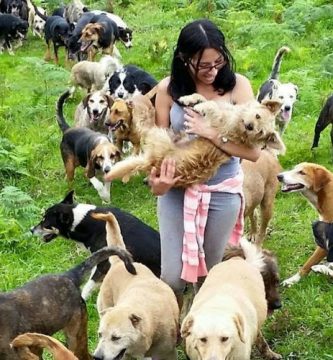 900 perros costa rica