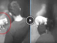 hombre maltrata perros novia ascensor