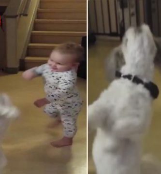 bebe baila con perrito quiere golosina