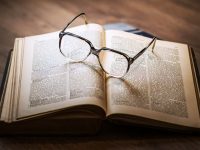 gato nombre cientifico