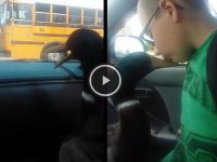 video de pato