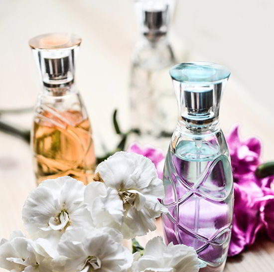 perros odian perfume