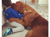 perro de messi