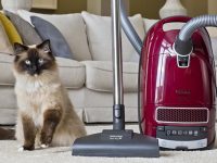 como limpiar pelos de tu mascota miele